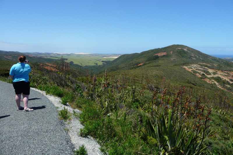 Nieuw-Zeeland 2011 - 0331